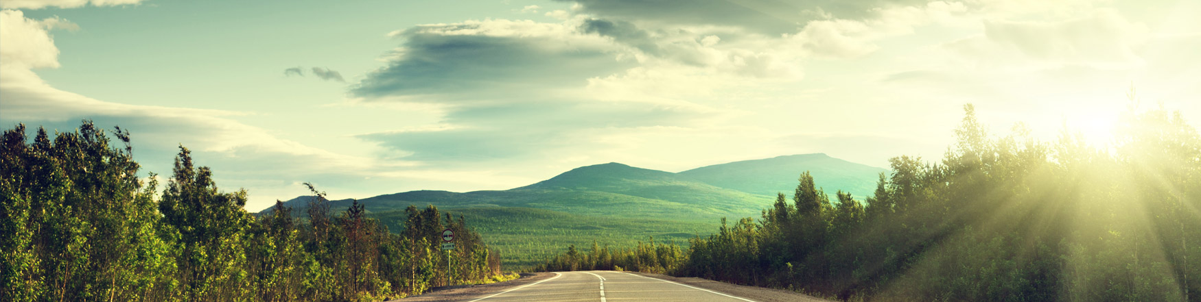 A highway road disappearing into the distance of trees and mountain